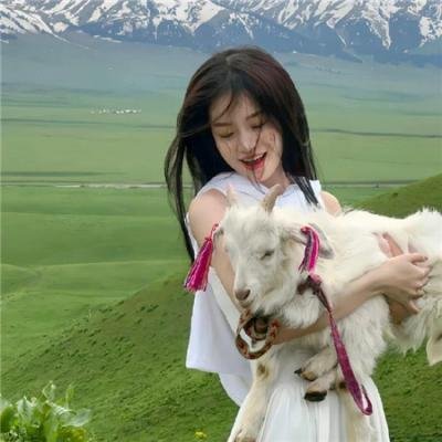 征服者佩尔 在线观看